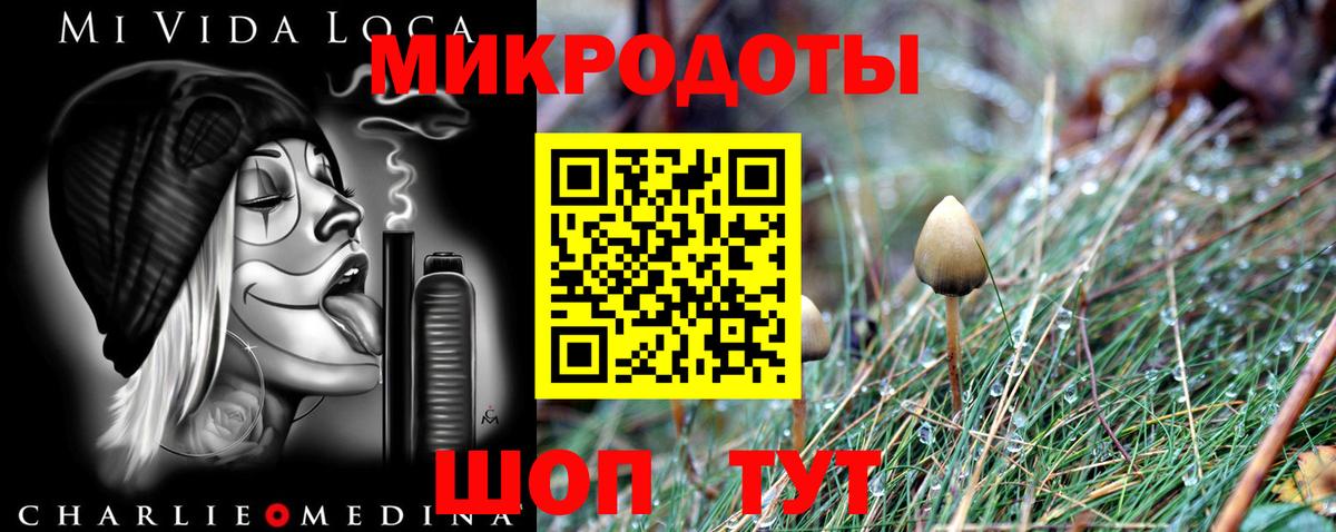 Галлюциногенные грибы Magic Shrooms Жигулёвск